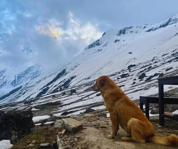 Evening view from the ABC