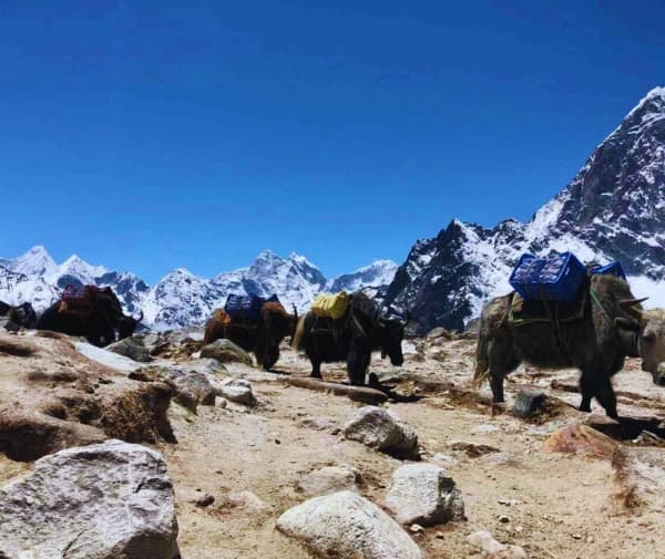 Scenic mountain view during the EBC trek