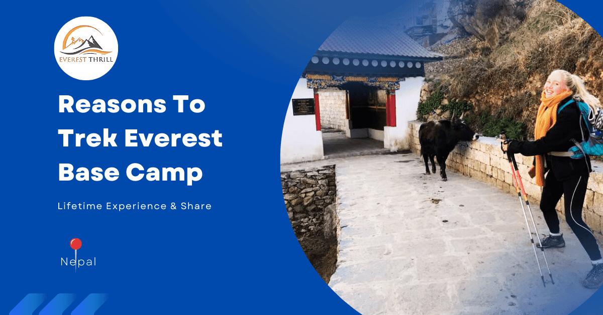 Why You Should Visit Everest Base Camp - Everest Thrill