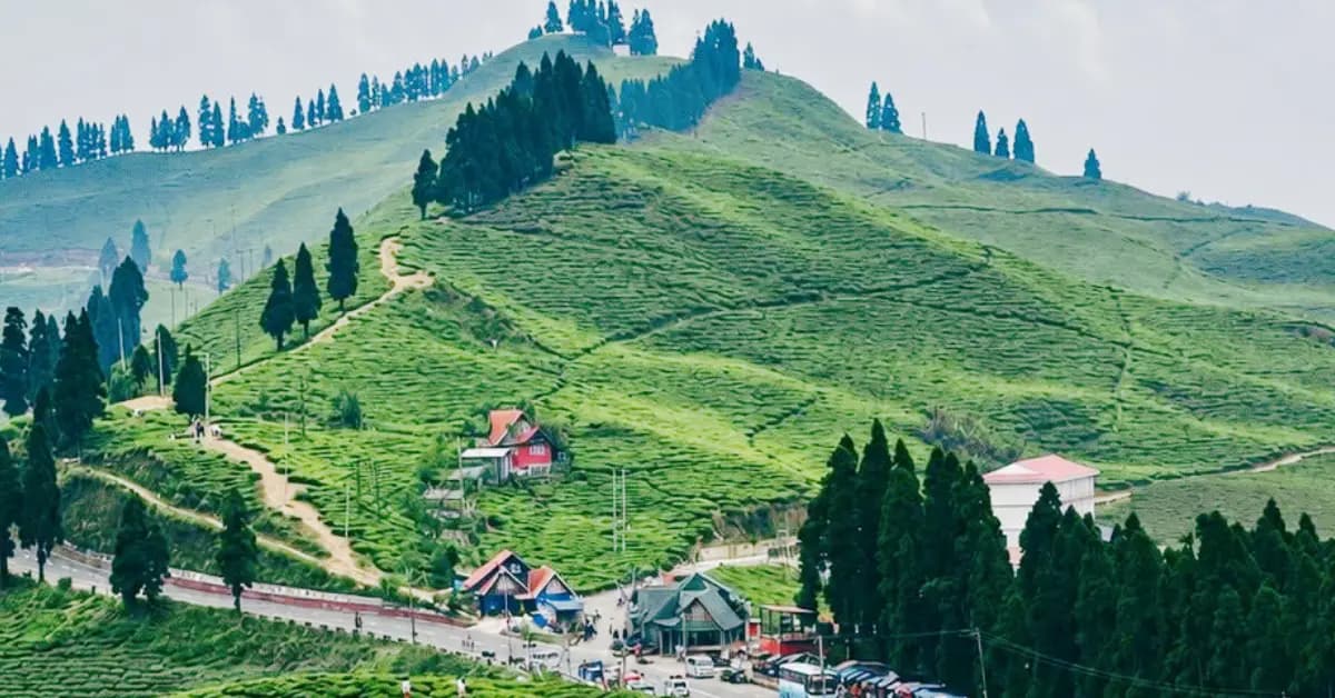 Ilam, a biggest tea garden in Nepal