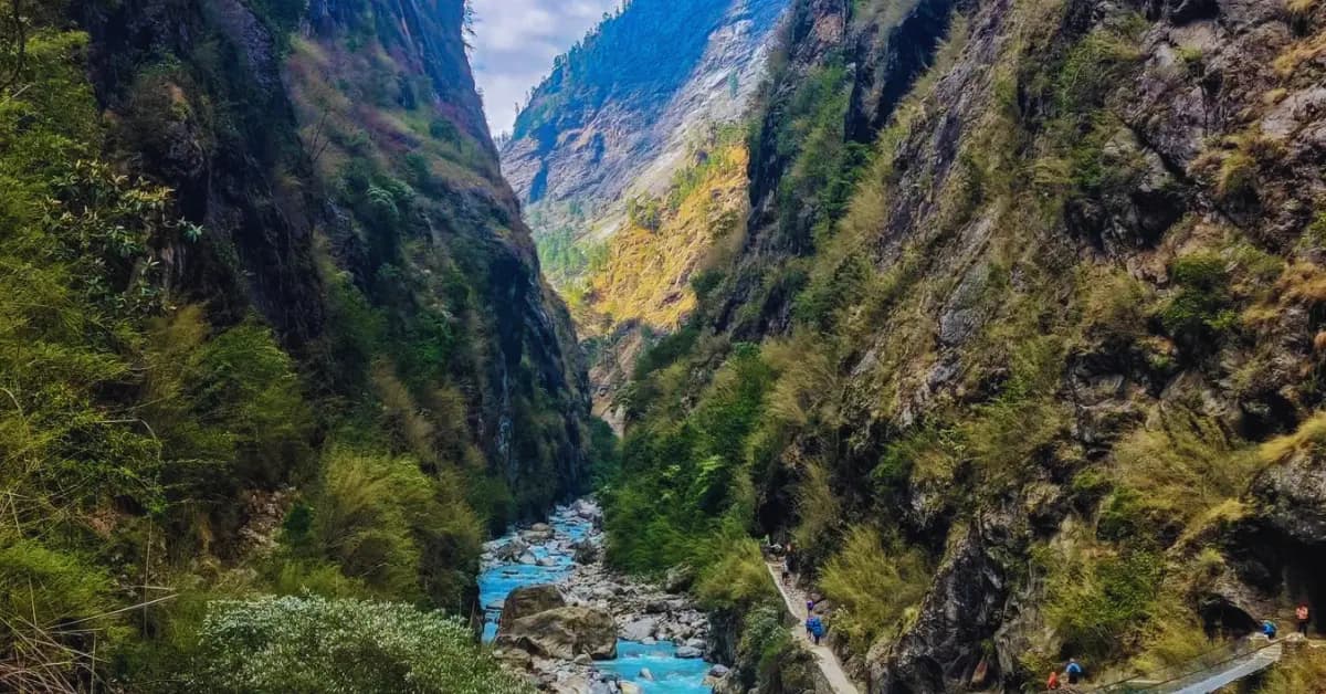 Forest-covered trail along a calm river on the Manaslu Circuit Trek in Nepal