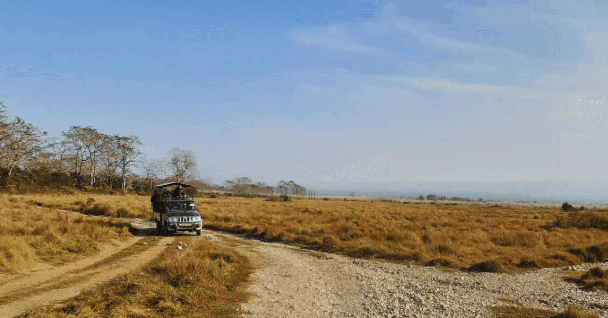 Kathmandu Chitwan Tour