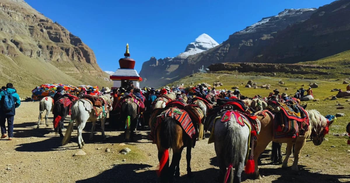 horse for kora yatra days